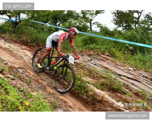 全运会特别报道：武汉篮球队拼搏历程与荣耀背后的故事