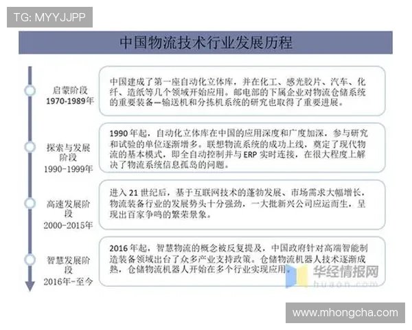 北京排球队的控制革新探索与发展路径分析全景报告