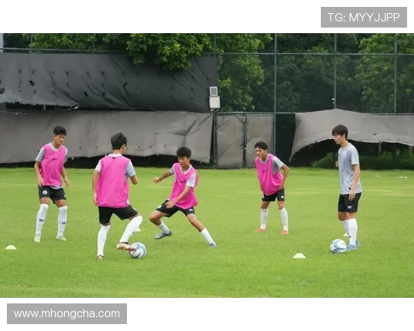 广州足球队的个人能力揭秘与战术分析全景探讨 广州足球队的个人能力揭秘与战术分析全景探讨