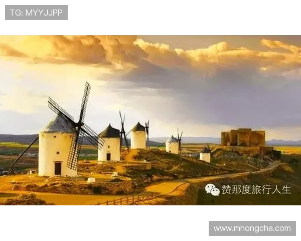 西班牙足球明星的壮丽人生与辉煌成就揭秘