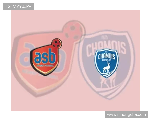 足球明星尼奥尔的传奇旅程与辉煌成就全解析