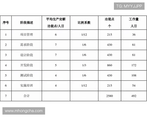 南京羽毛球队战术分析与表现评估全面解读