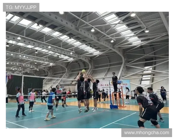 南京排球队在全国排球耐力排行榜中荣获第六名的佳绩引发关注