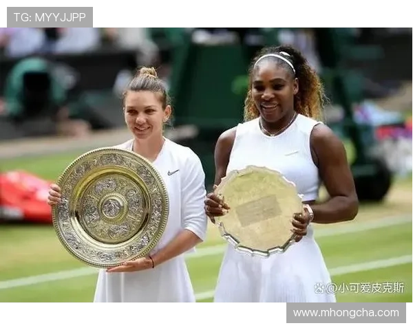 广州网球队与南京网球队耐力较量赛后分析与反思