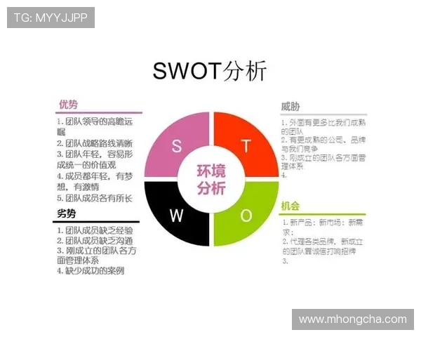 西安足球队在杯赛中的灵活战术与团队协作表现分析