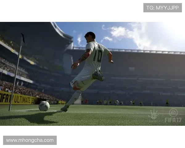 高清足球明星图片汇总展示各大球星风采与成就分析